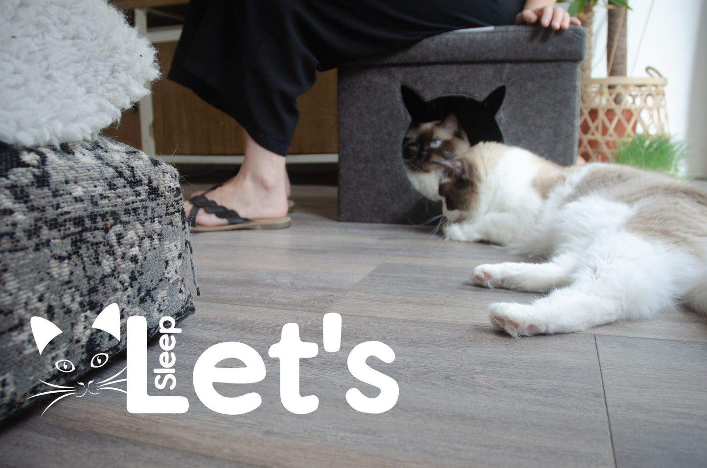 Let's sleep Pet Cube Helles/Dunkelgrau