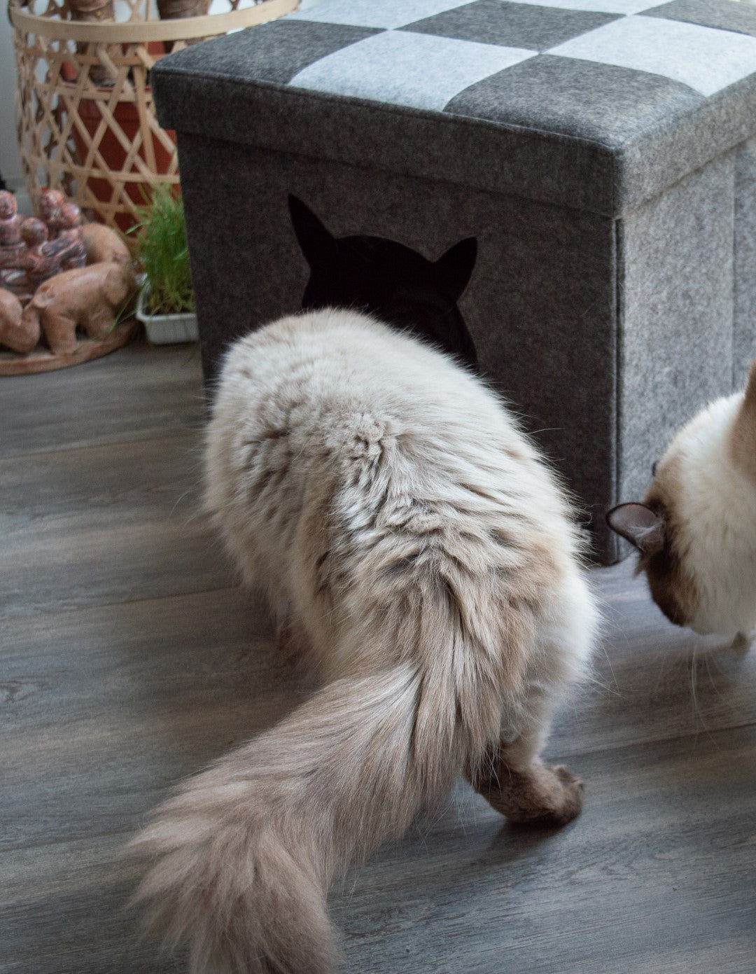 Let's sleep Pet Cube Helles/Dunkelgrau