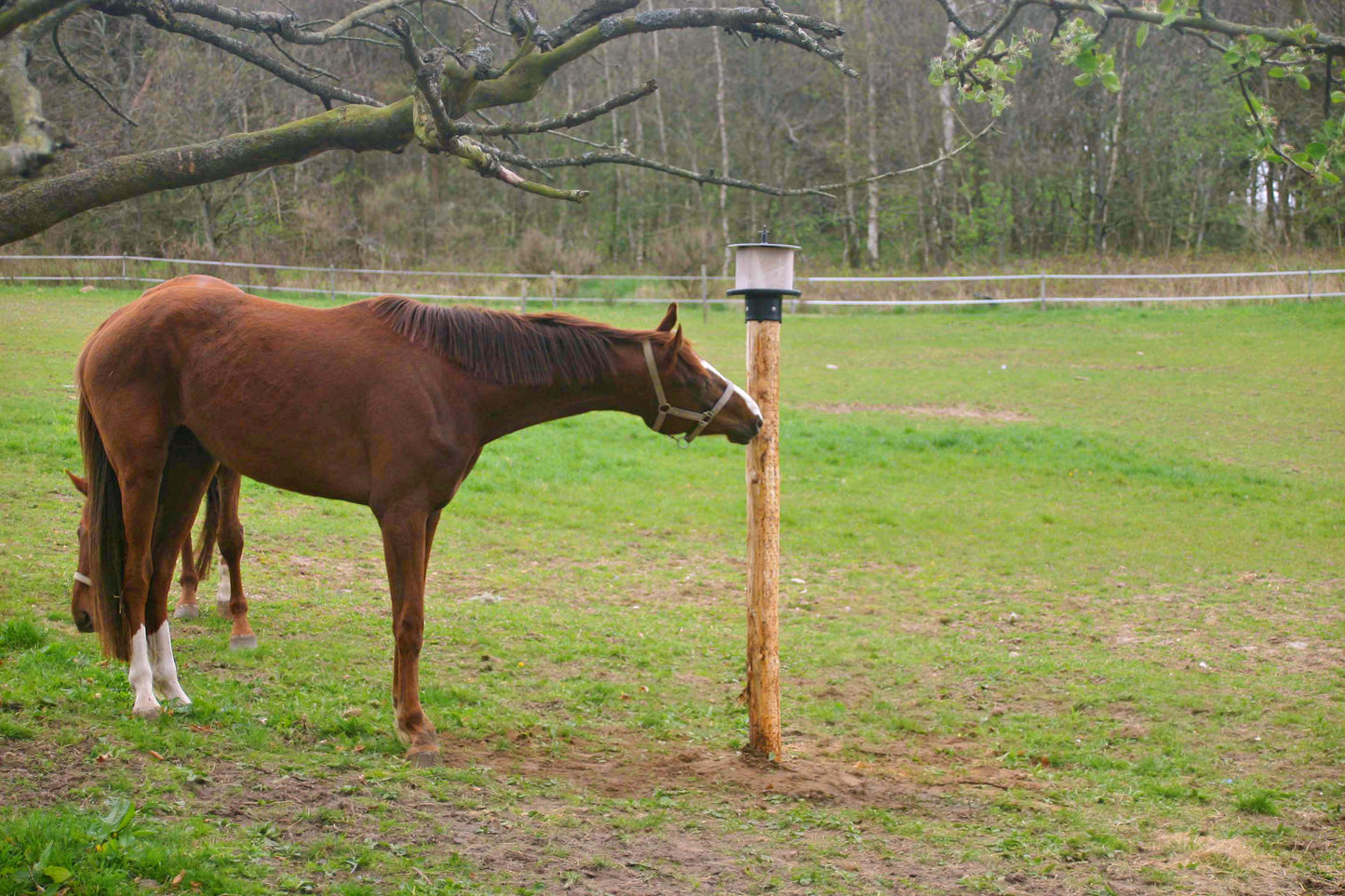 vPlast Lecksteinhalter Pfahl