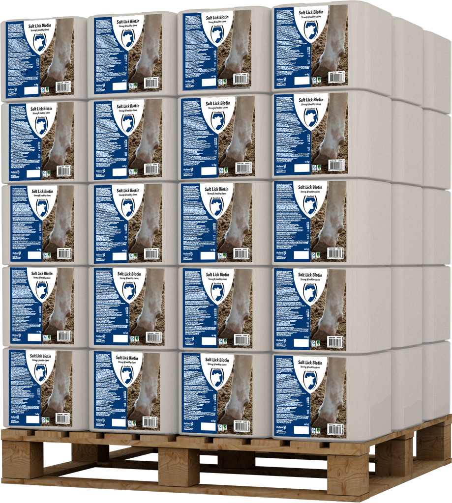 Excellent Leckstein Biotin 10 kg by Hoffreund
