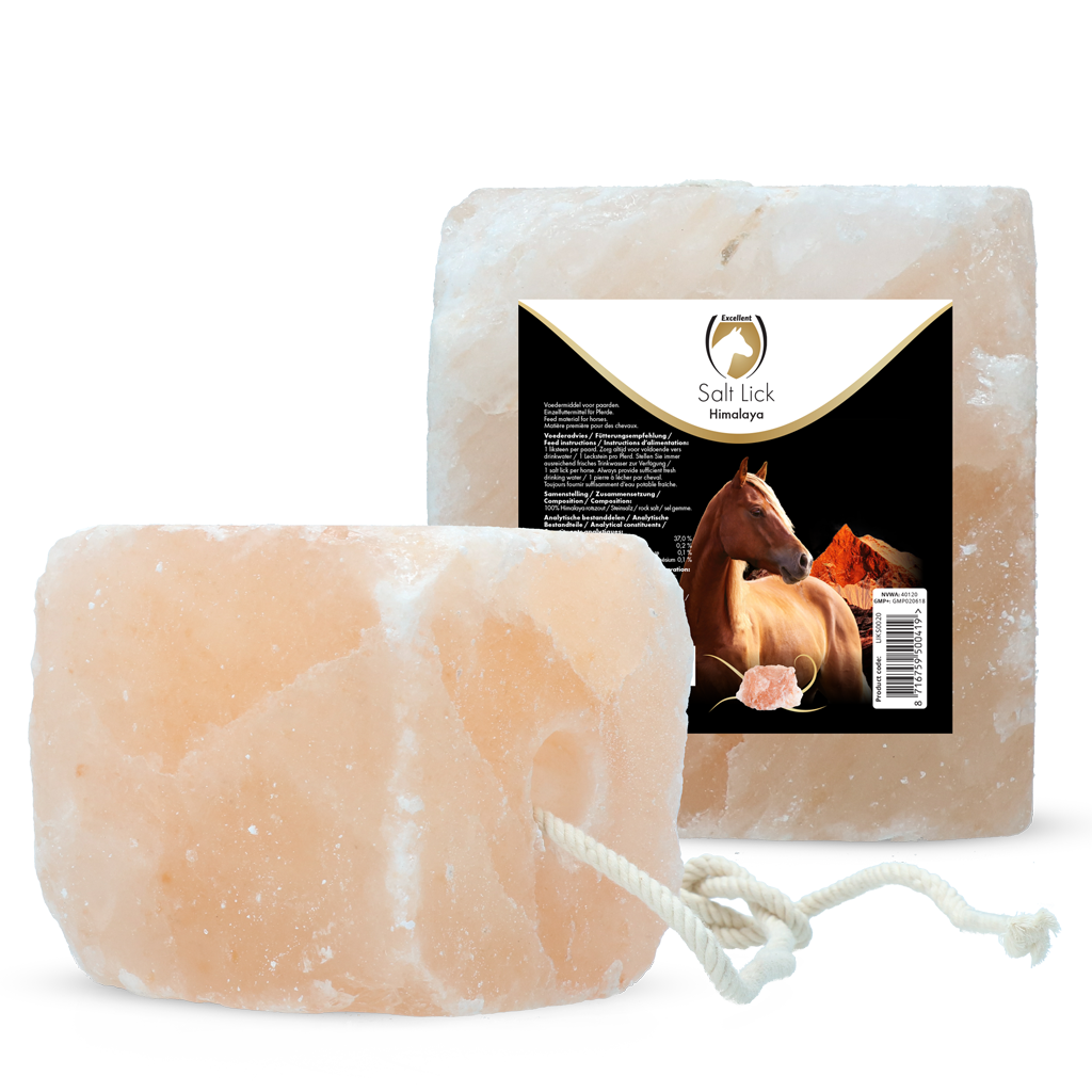 Excellent Horse Salt Lick Himalaya 2-3 kg (Mit Seil)