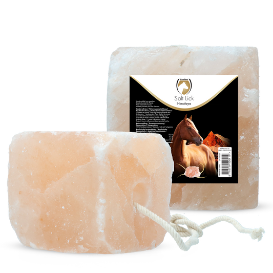 Excellent Horse Salt Lick Himalaya 2-3 kg (Mit Seil)