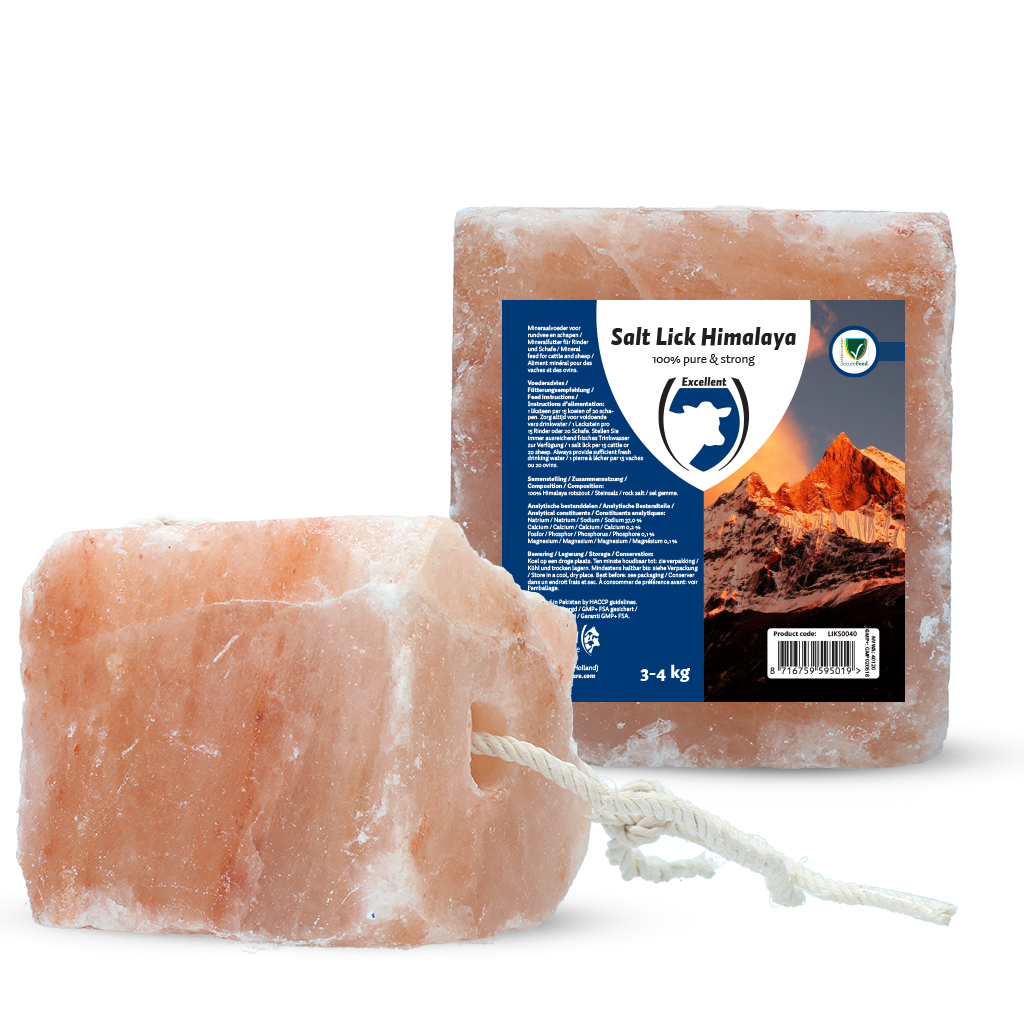 Excellent Liksteen Himalaya (mit Seil) 3-4 kg