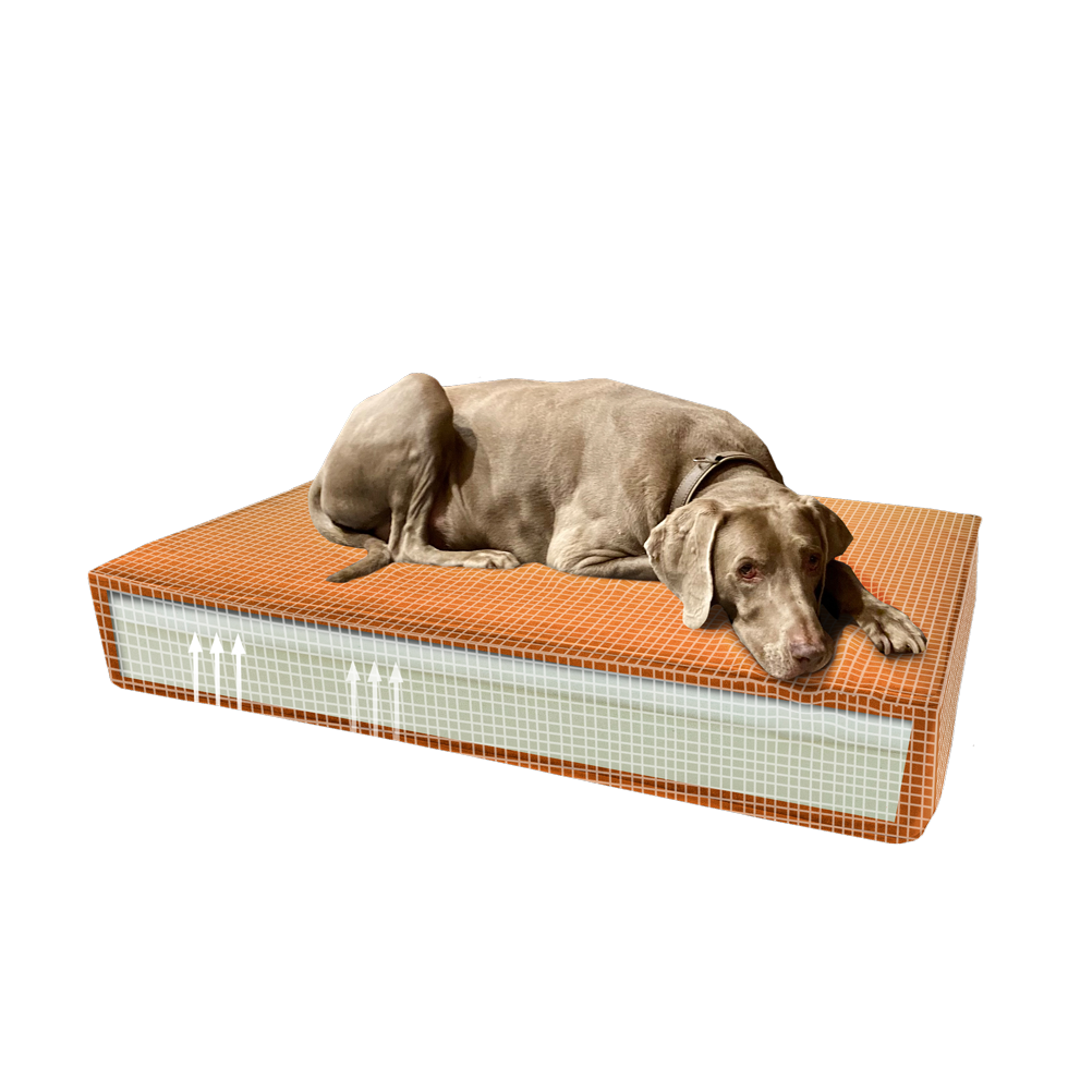 Madison Orthopädisches Kissen Velvet Orange S