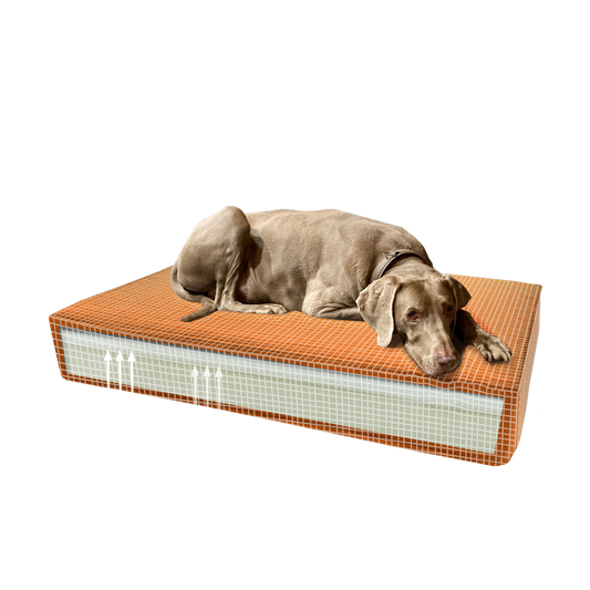 Madison Orthopädisches Kissen Velvet Orange S