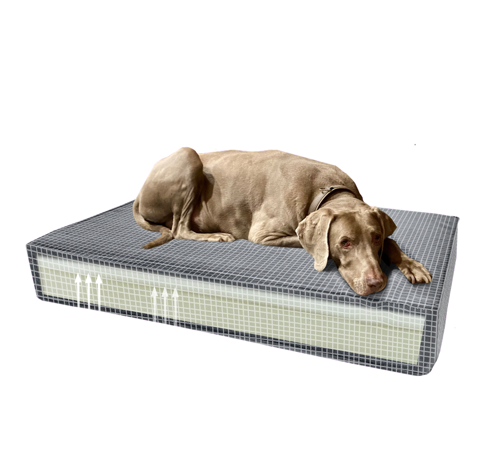 Madison Orthopädisches Kissen Velvet Orange S