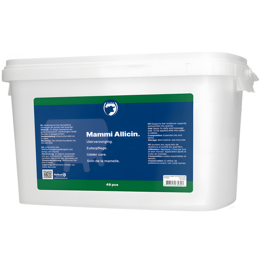 Excellent Mammi Allicin 48 St. by Hoffreund