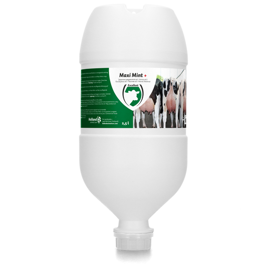 Excellent Maxi Mint+ Hängetube 2,5 l