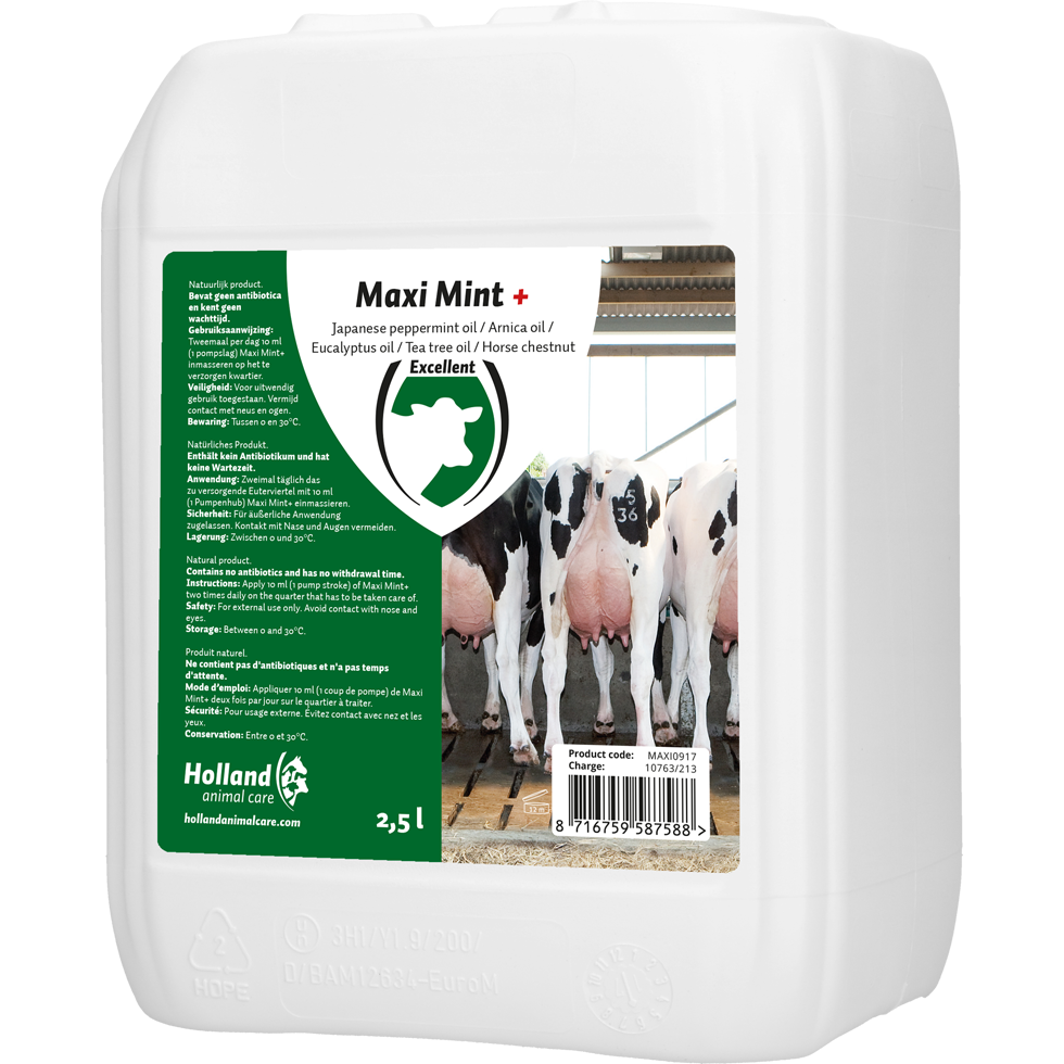 Excellent Maxi Mint+ Bulkverpackung inkl Dosator 2,5 l