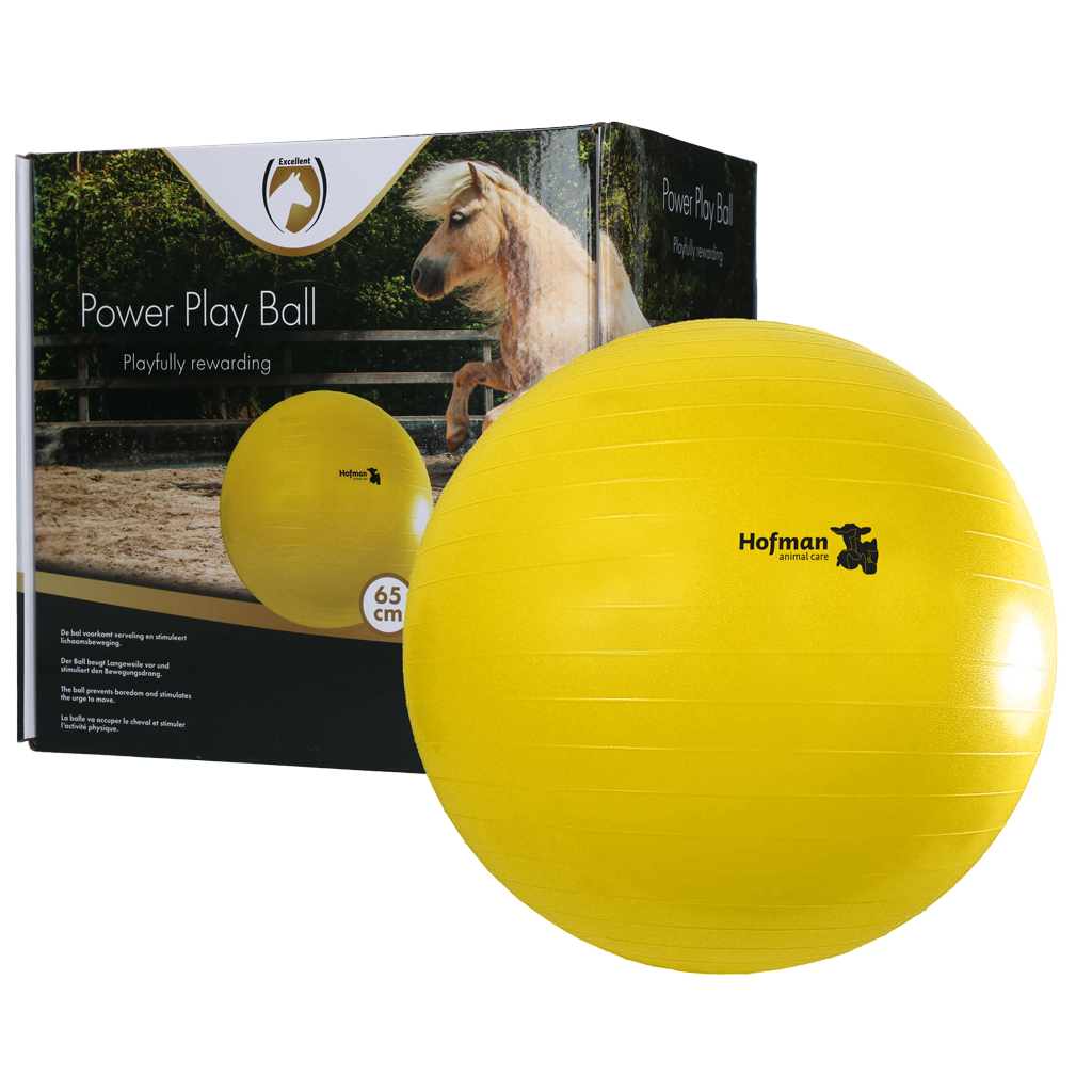 Maximus Power Play Ball 65 cm