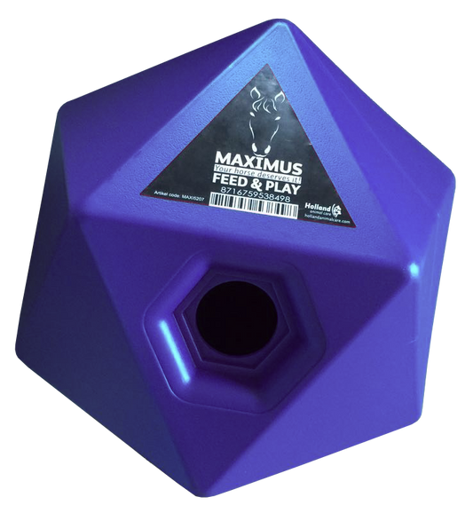 Maximus Feed & Play Blau