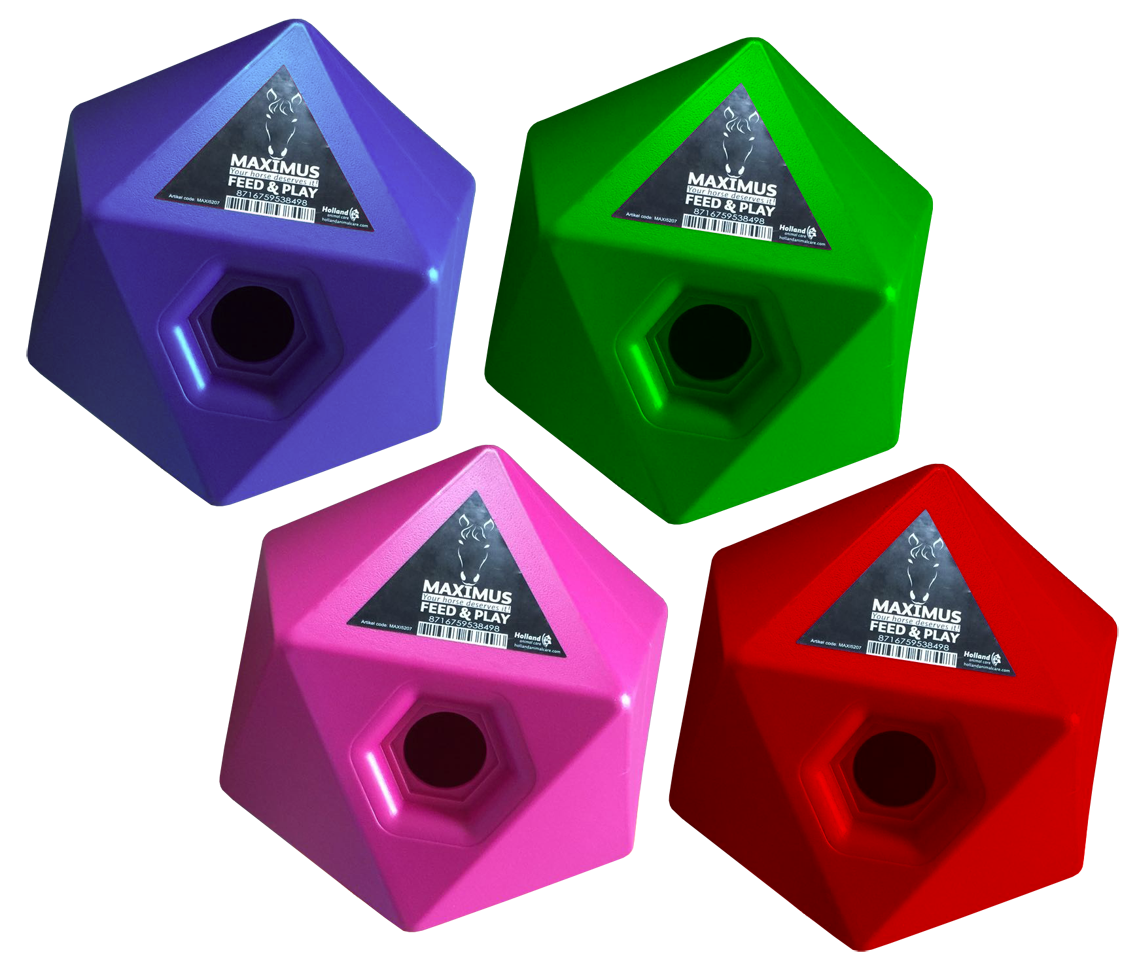 Maximus Feed & Play Rot