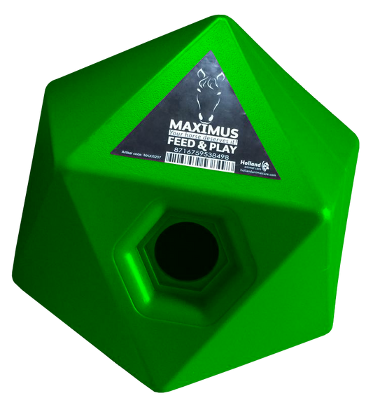 Maximus Feed & Play Grün