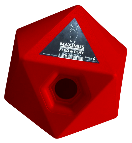 Maximus Feed & Play Rot