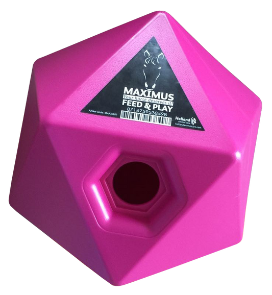 Maximus Feed & Play Rosa