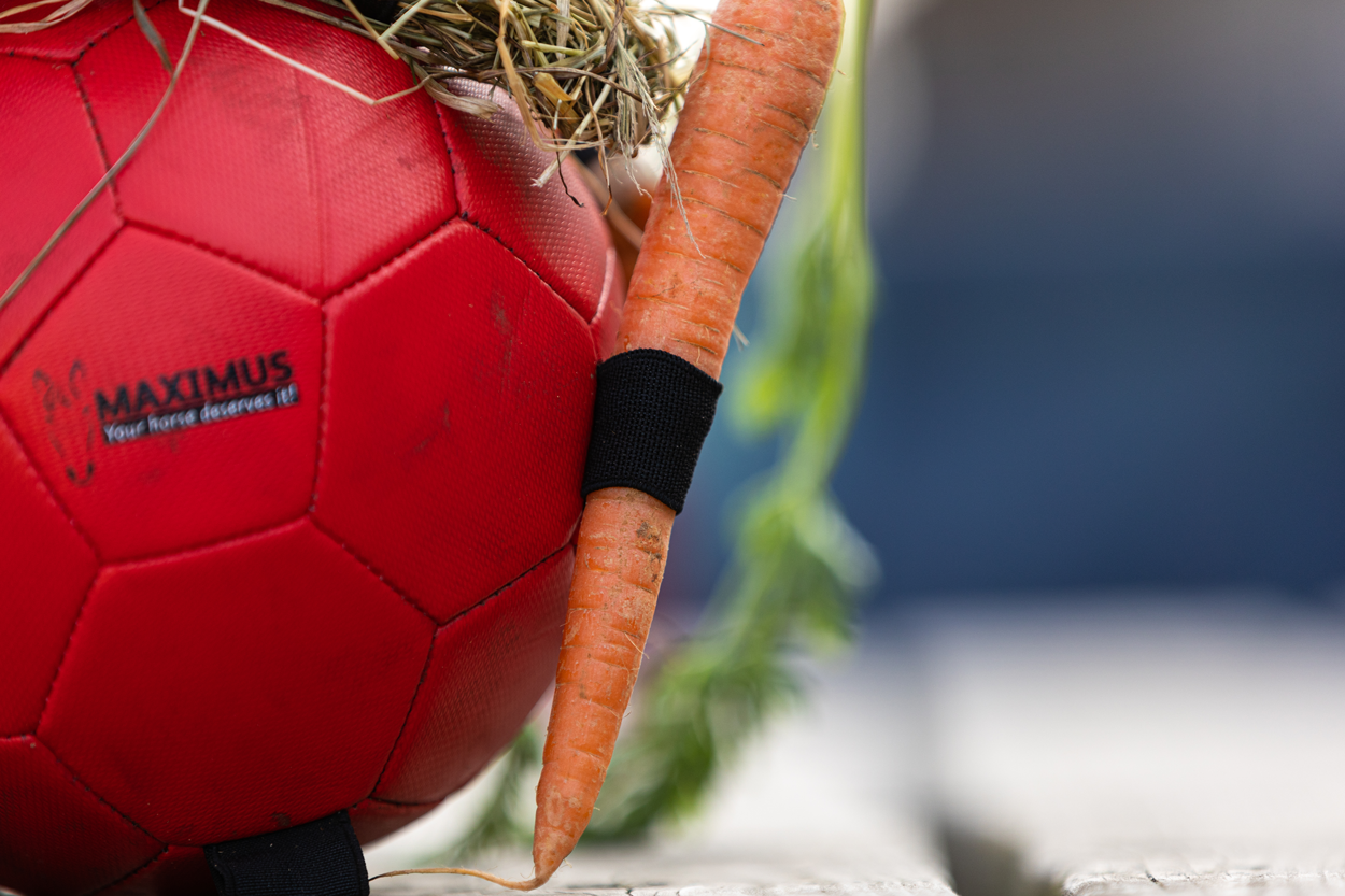 Excellent Horse Fun Play Ball Rosa