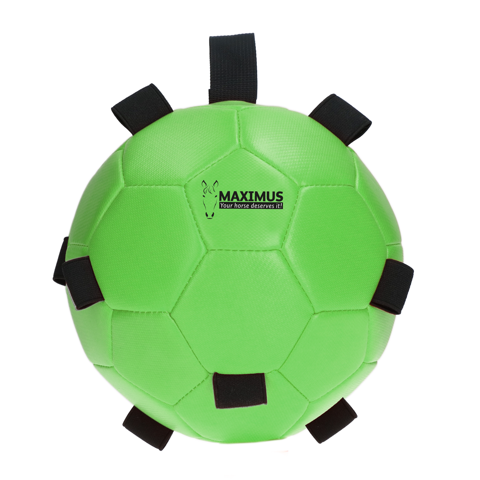 Excellent Horse Fun Play Ball Grün