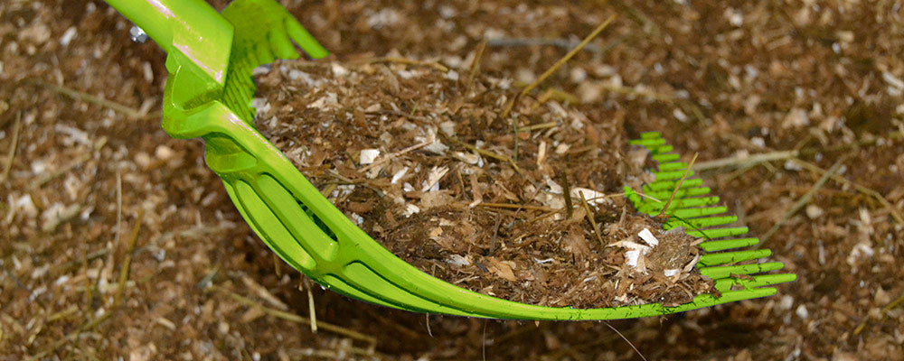 Dunggabel ohne Stiel Lindgrün