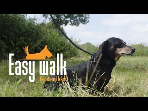 Easy Walk Schultermodell Rot - Mini