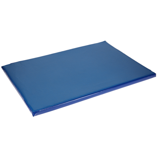 Desinfektionsmatte 85x60x3,5 cm