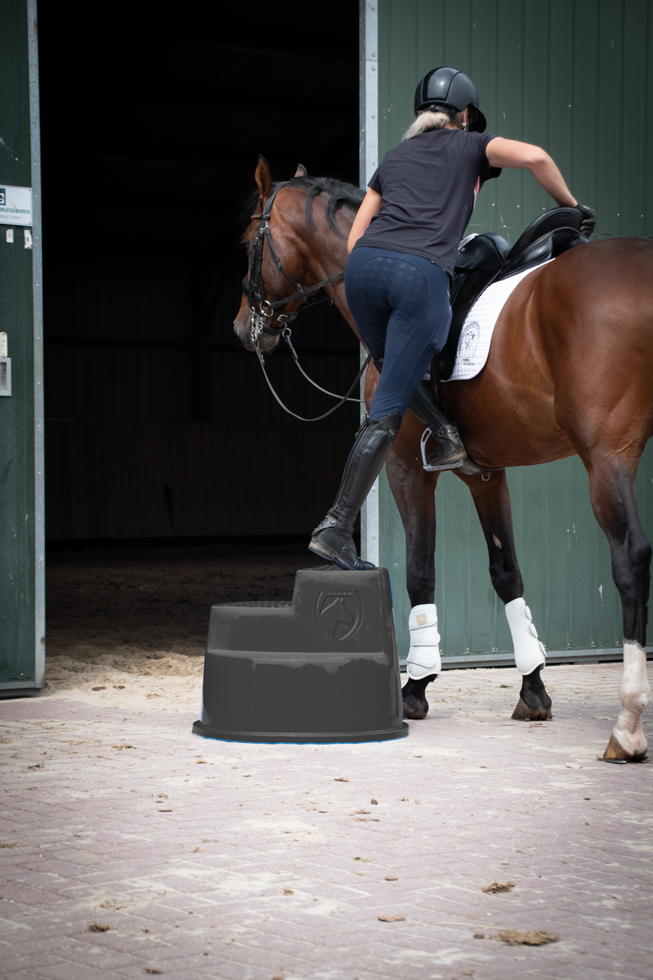 Excellent Horse Aufstiegshilfe 3 Stufen Schwarz