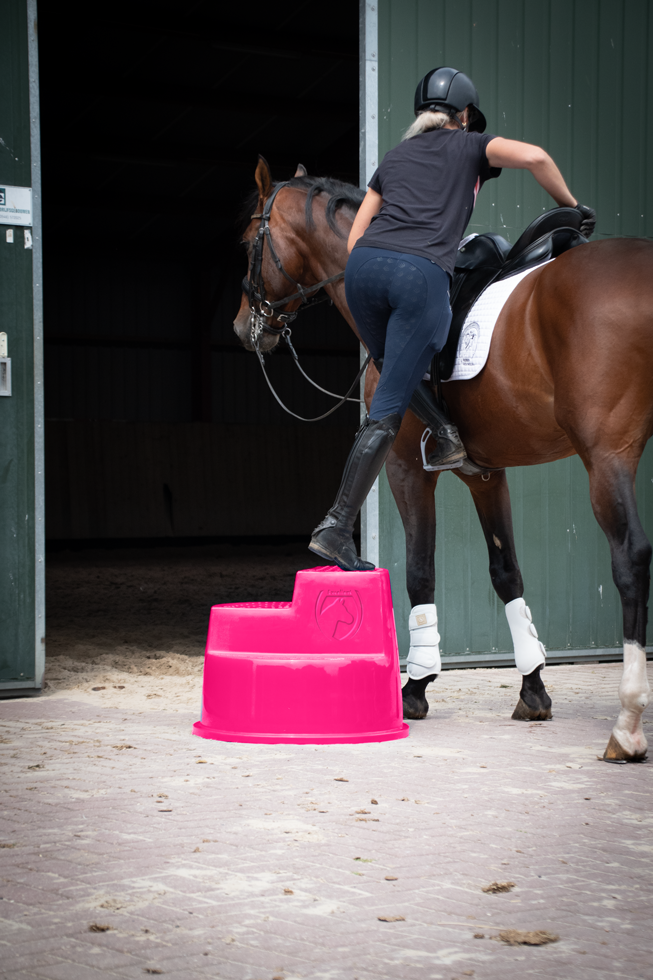 Excellent Horse Aufstiegshilfe 3 Stufen Rosa