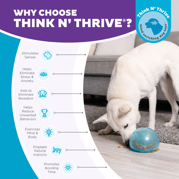 Outward Hound Orbee-Tuff Snoop L Blau