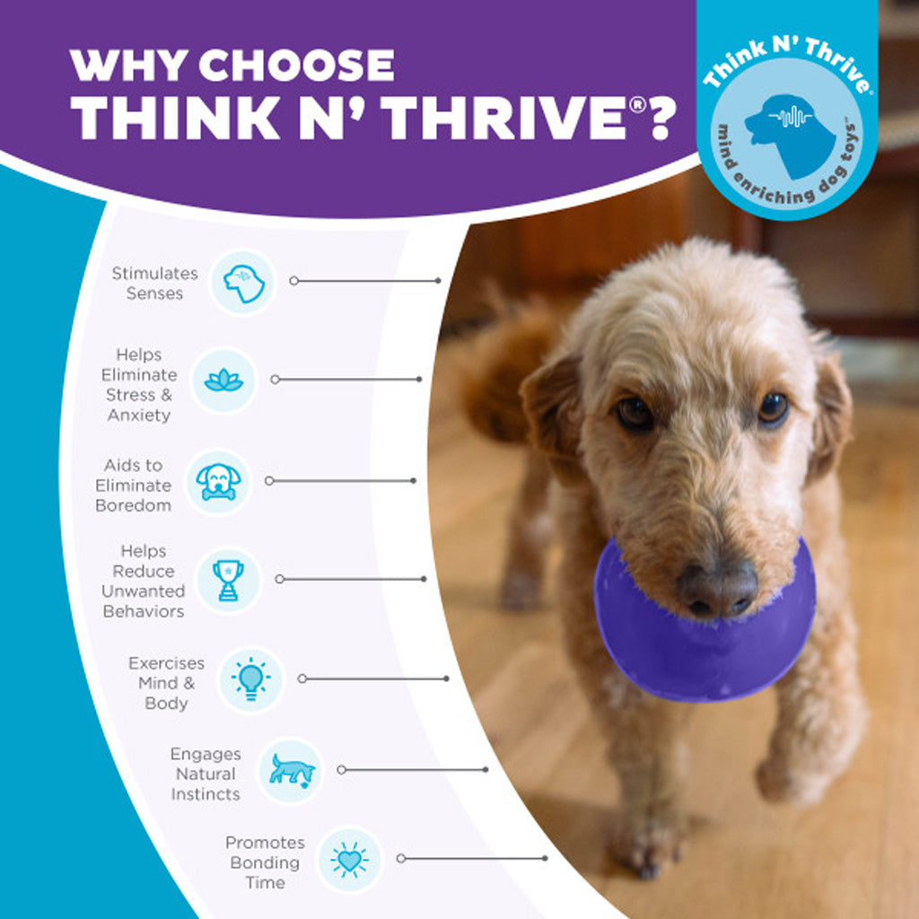 Outward Hound Orbee-Tuff Snoop M Lila