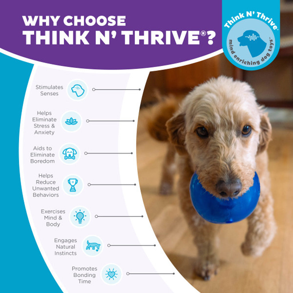 Outward Hound Orbee-Tuff Snoop M Blau