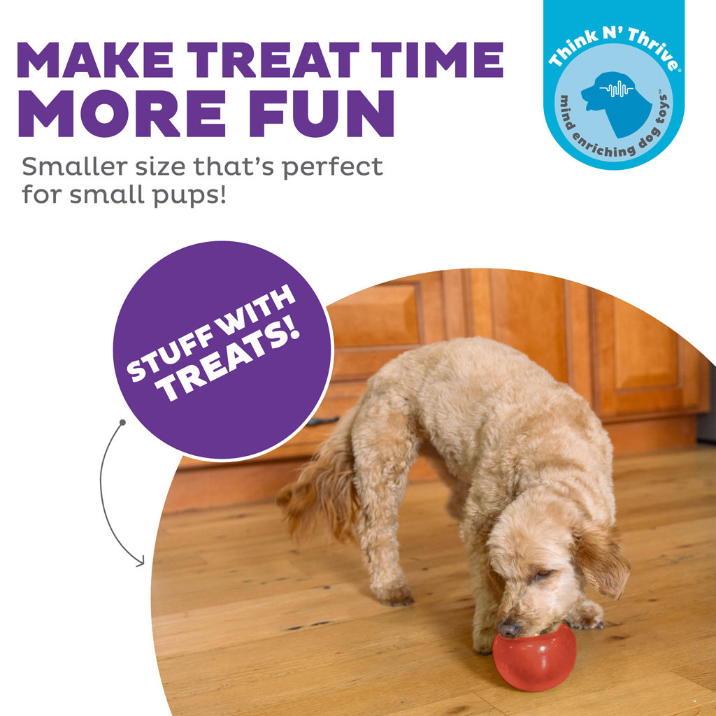 Outward Hound Orbee-Tuff Snoop S Rot (Lil' Snoop)