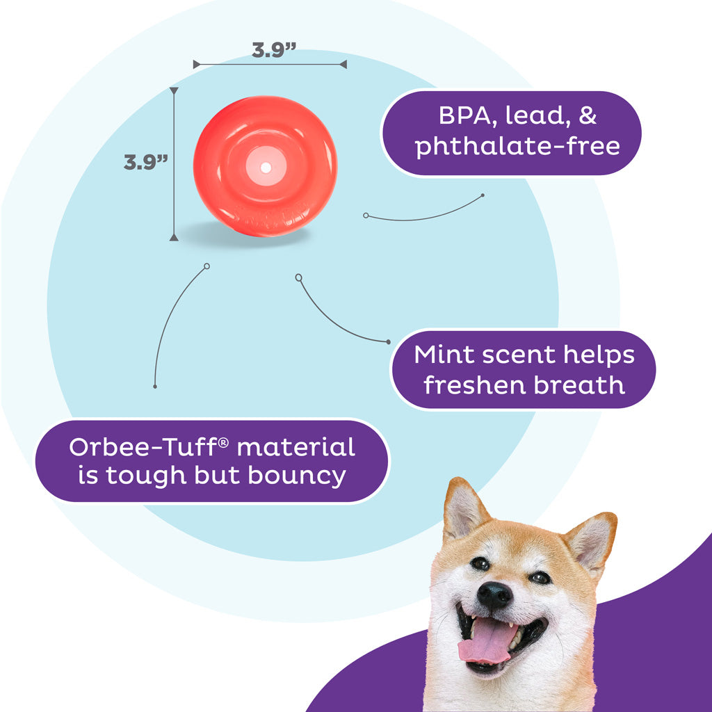 Outward Hound Orbee-Tuff Snoop S Rot (Lil' Snoop)
