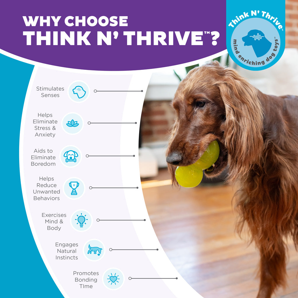 Outward Hound Double-Tuff L Grün