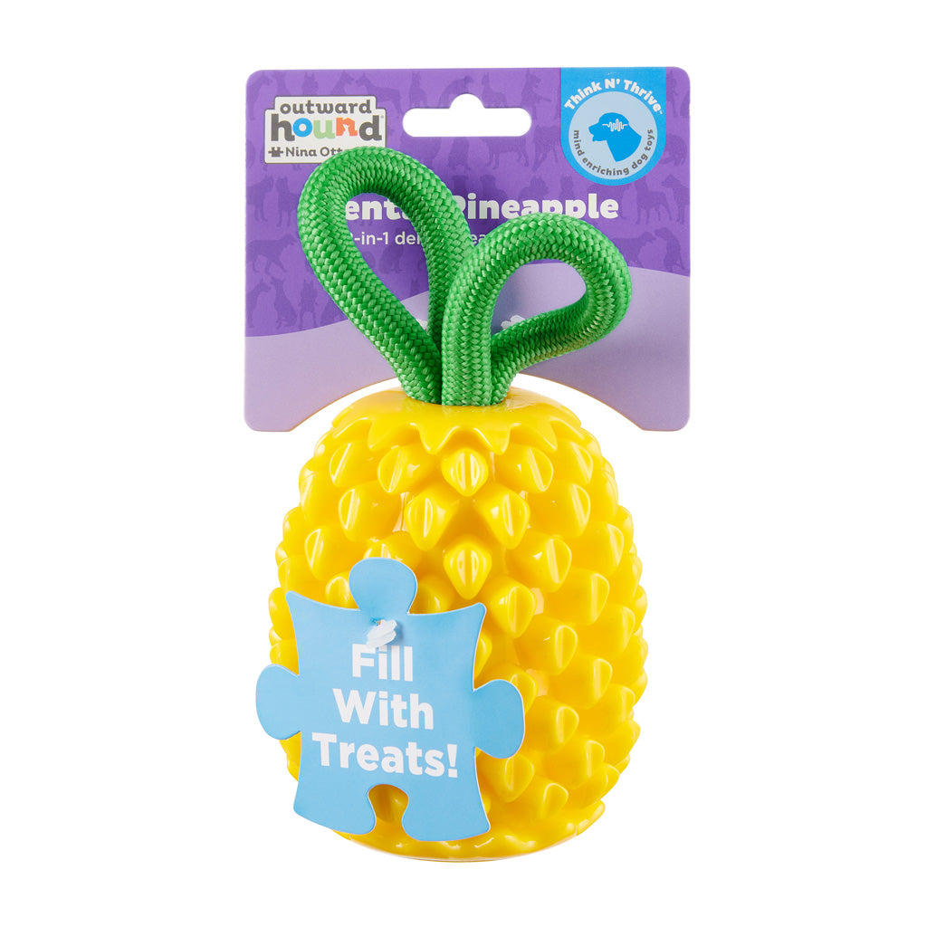 Outward Hound Dental Pineapple
