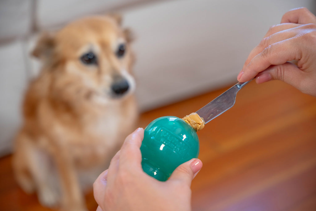 Outward Hound Double-Tuff M Blau