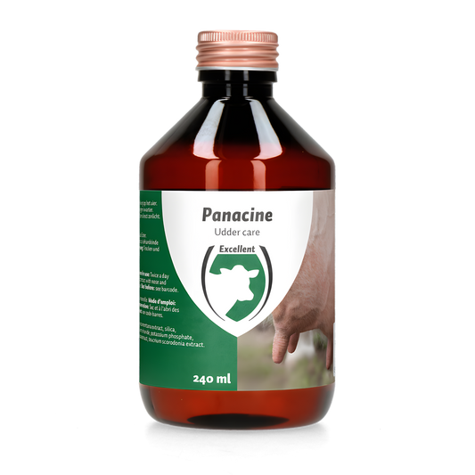 Excellent Panacine 240 ml by Hoffreund