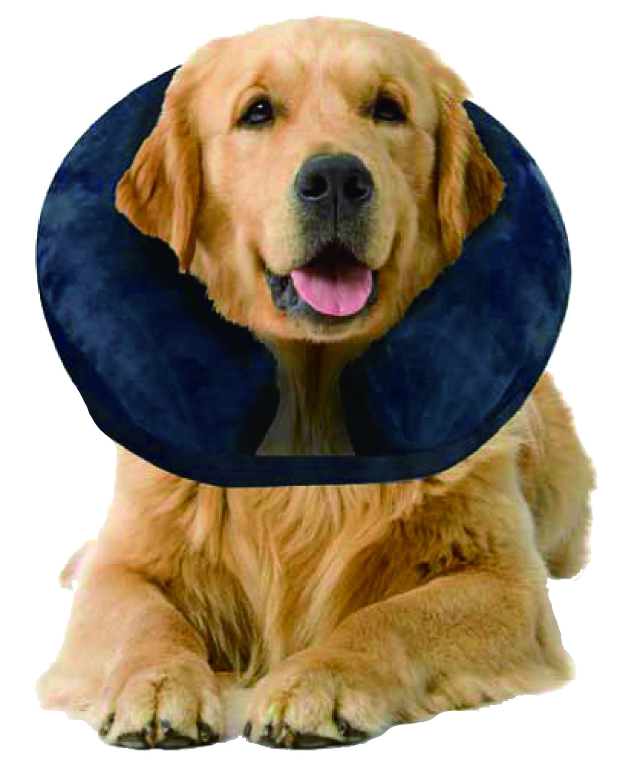 Pawise Inflatable Protective Collar L