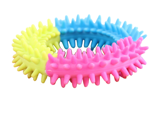 Pawise Rainbow World Ring L