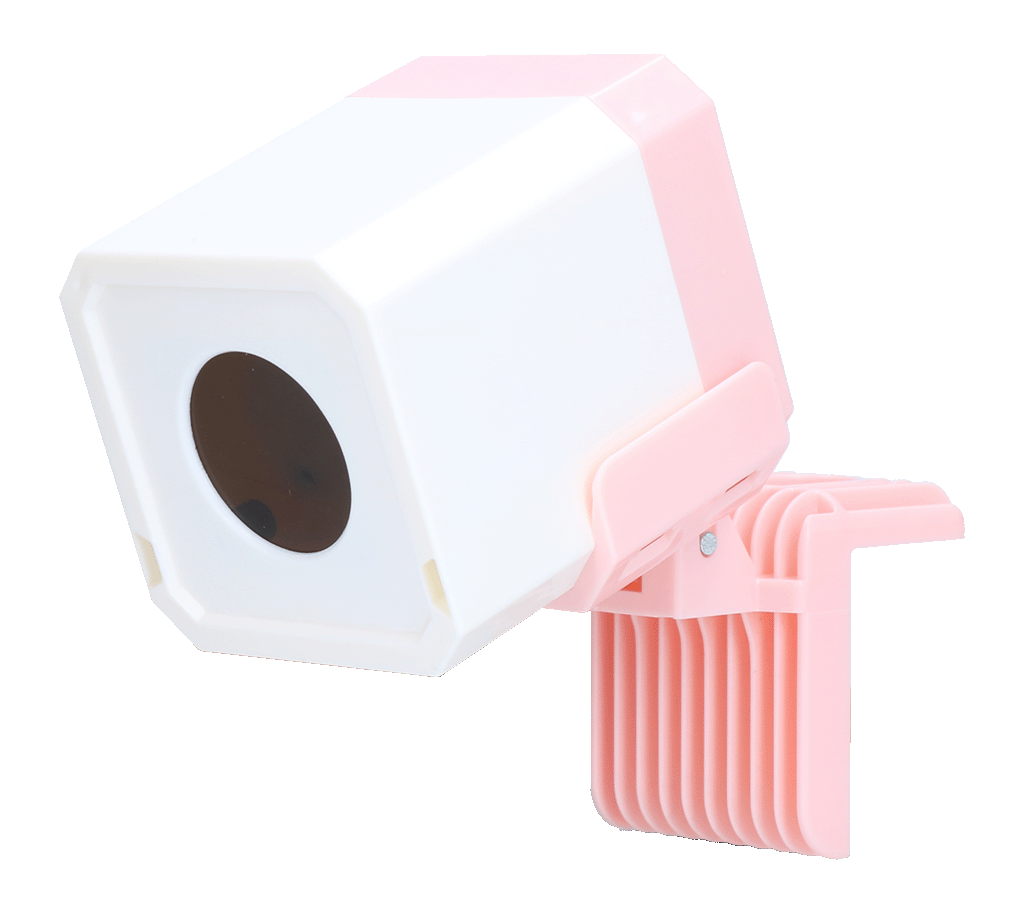 Pawise Automatic Laser toy