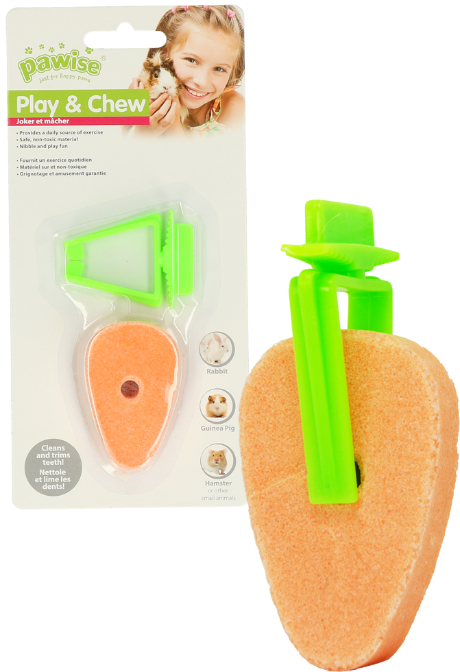 Pawise Play & Chew Salt Carrot
