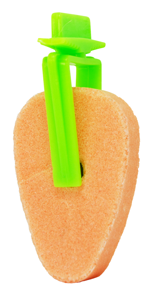 Pawise Play & Chew Salt Carrot