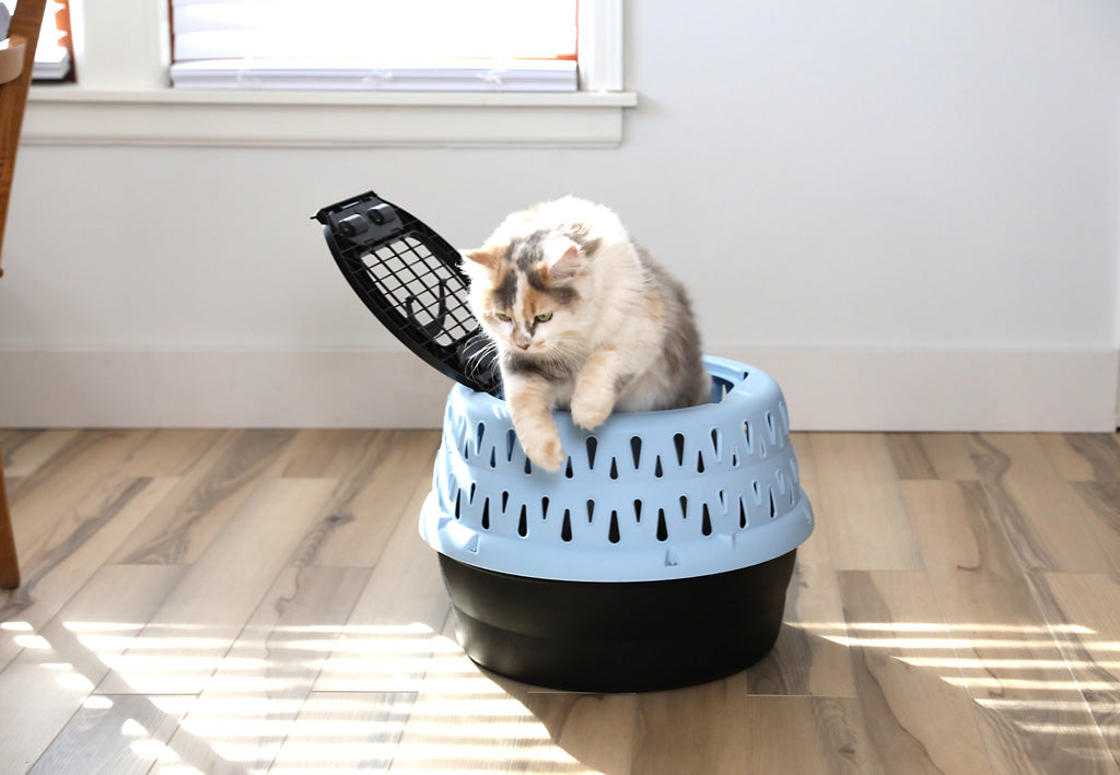 Petmate Get-A-Round Kennel For Cats Blue