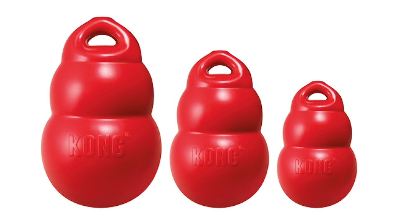 KONG Bounzer Large M