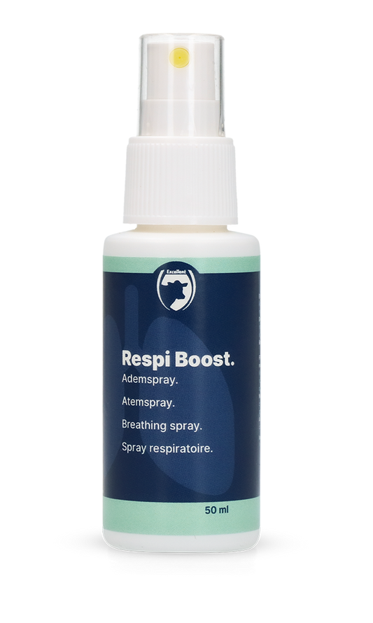 Excellent Respi Boost (Atem-Spray) 50 ml