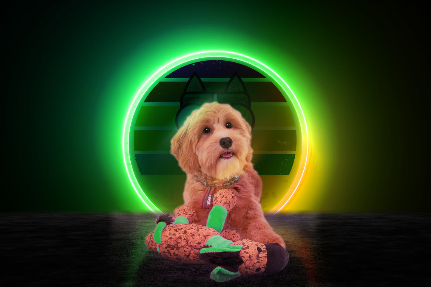 Retrodog Donkey Grün S