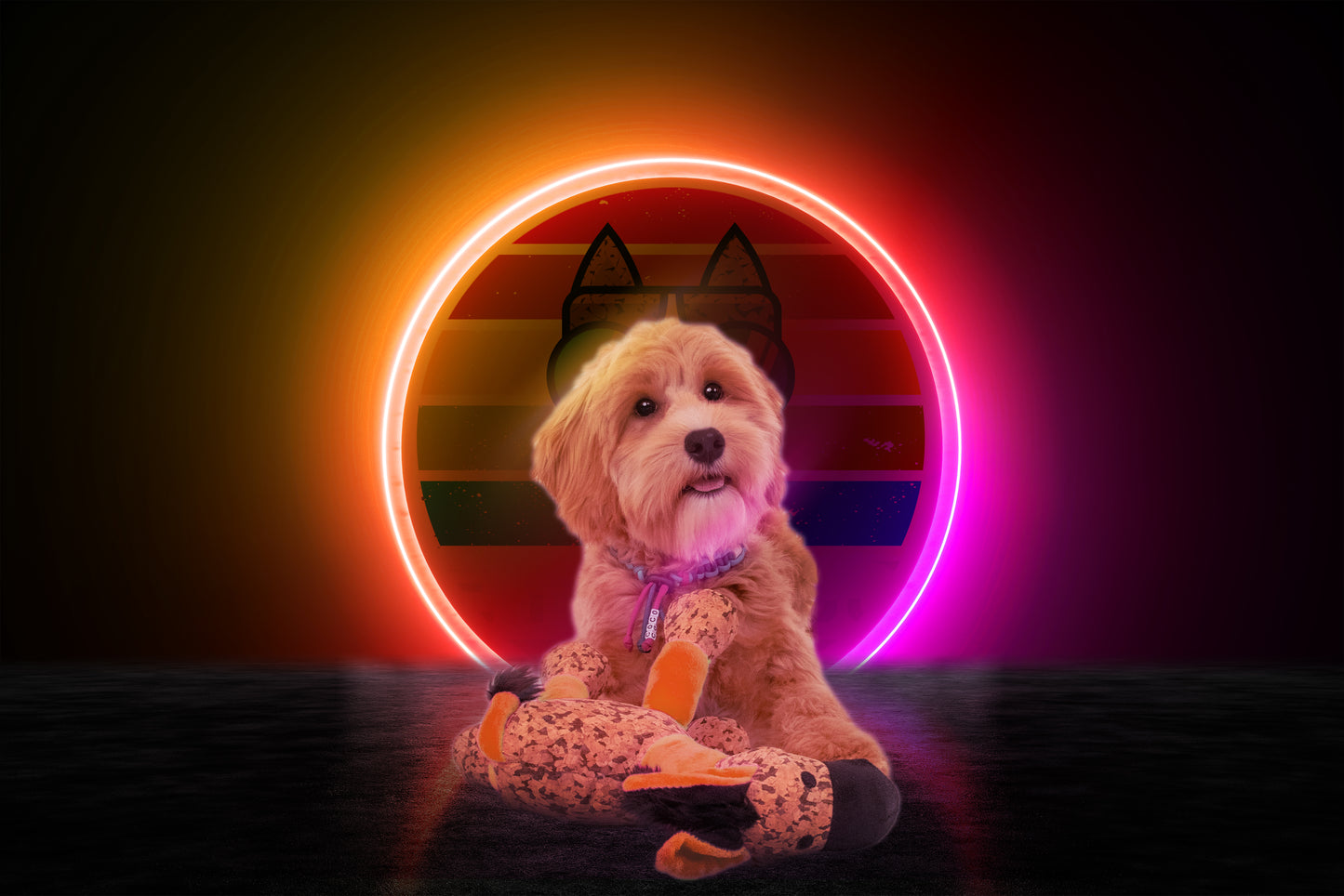 Retrodog Donkey Orange S