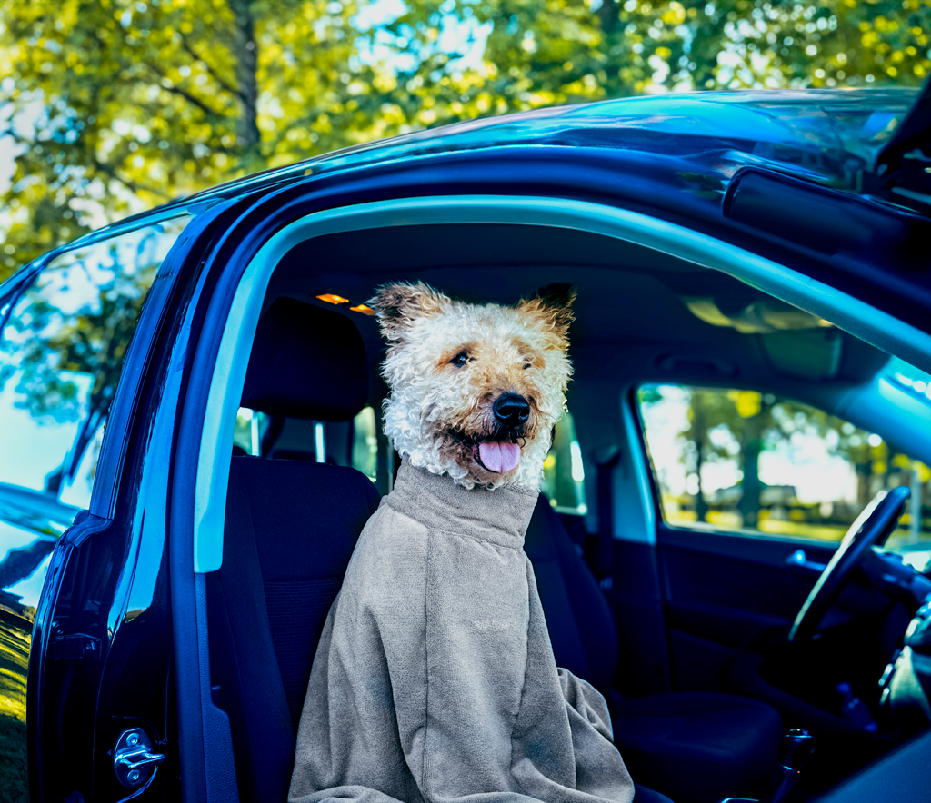 Royal Dry Doggy Bag Trockenbeutel XS