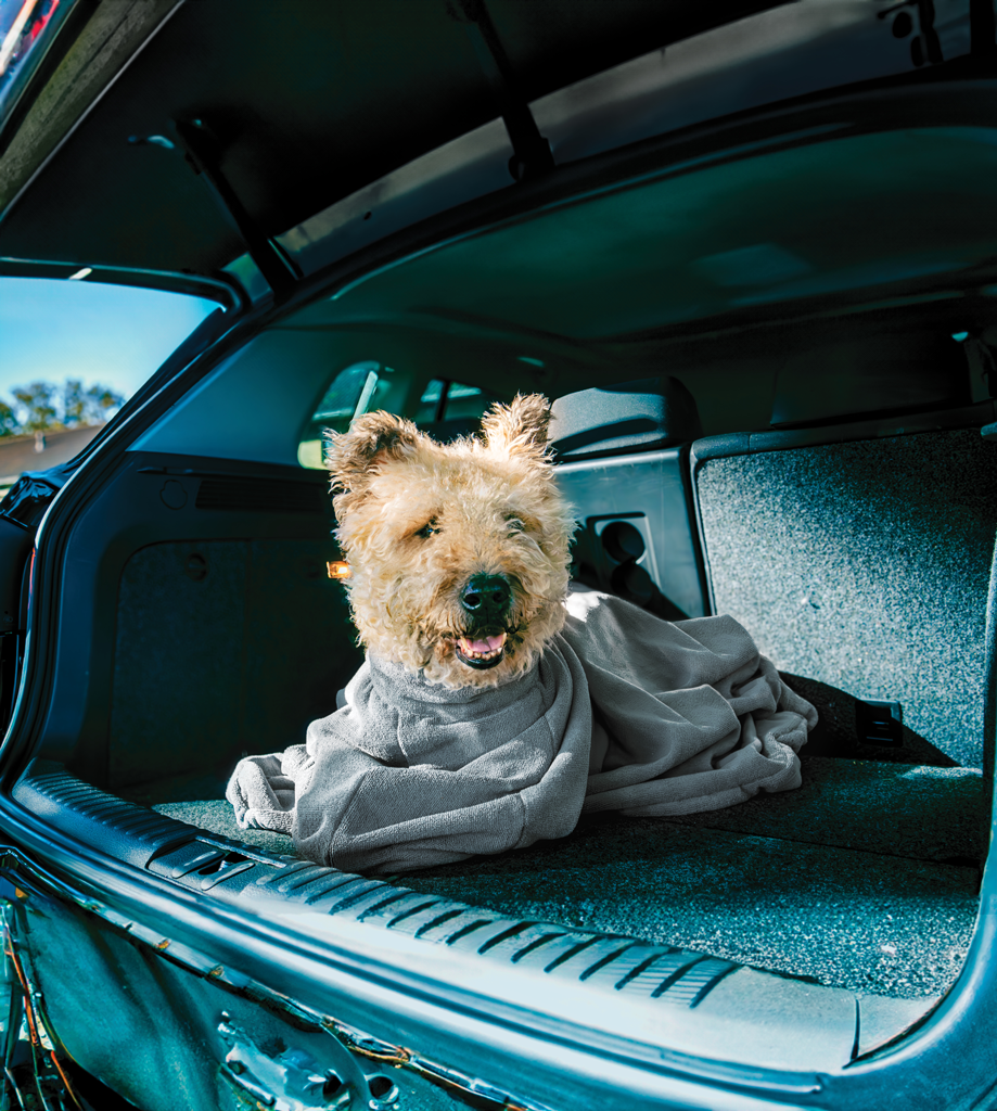 Royal Dry Doggy Bag Trockenbeutel S