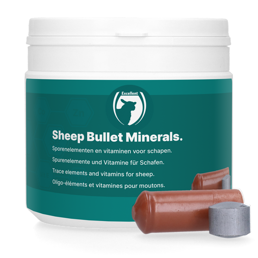 Sheep Bullet Mineralenboli 10 St.