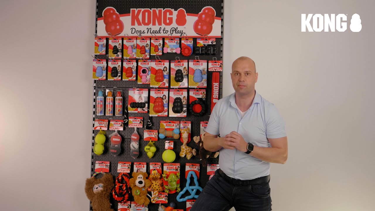 Package Deal KONG Hund