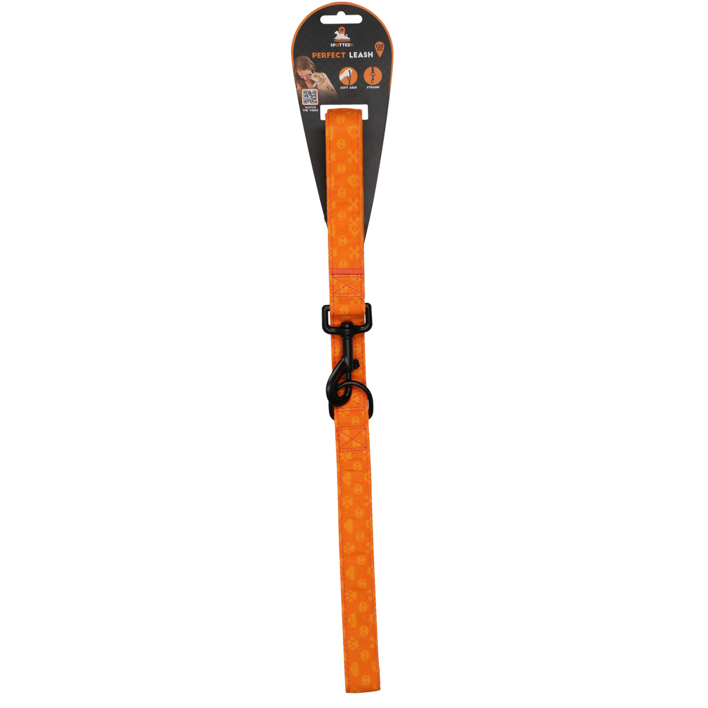 Spotted! Pro Perfect Leash 120 cm Orange